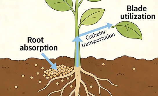 peptide foliar fertilizer