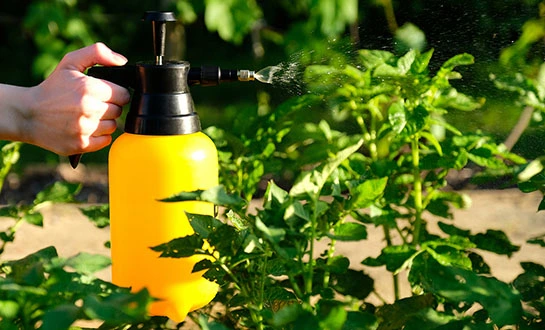 root-promoting fertilizer