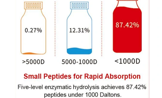 yeast peptone powder yeast peptone powder