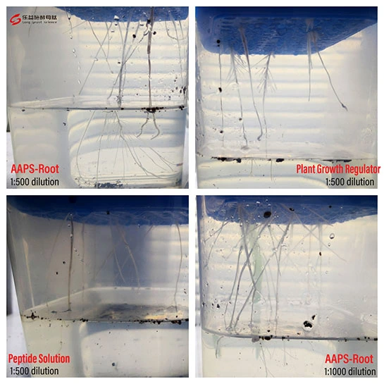 peptide root fertilizer peptide root fertilizer