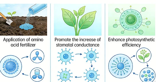 amino acid biostimulants