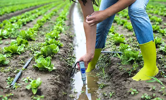 peptide biostimulants peptide biostimulants