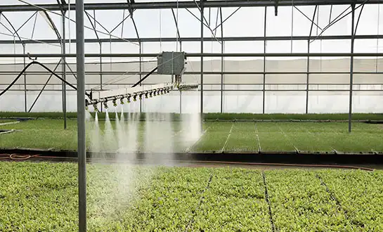 peptide fertilizer peptide fertilizer