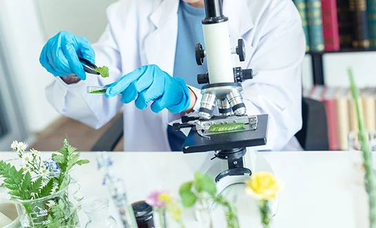 plant signaling molecule plant signaling molecule