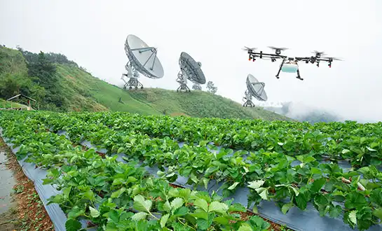 plants fertilizer plants fertilizer