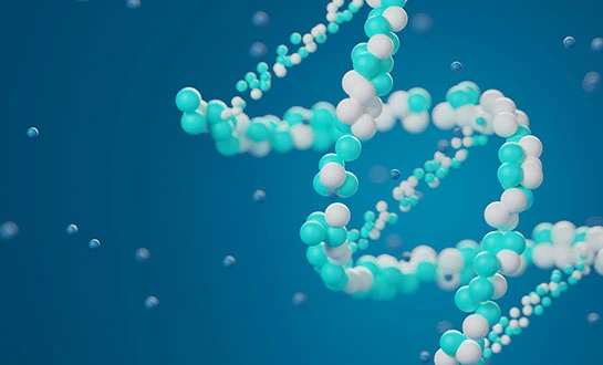 yeast derived peptide yeast derived peptide