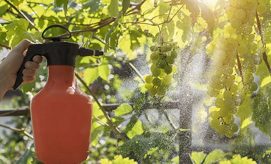 biostimulants biostimulants