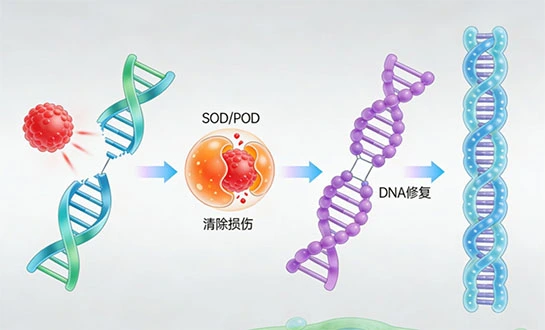 plant signaling molecule