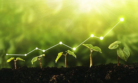 liquid fertilizer liquid fertilizer