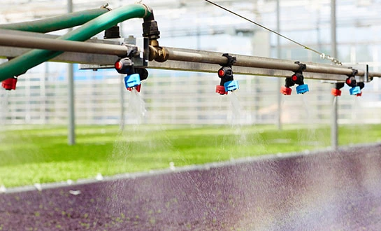 amino acid liquid fertilizer