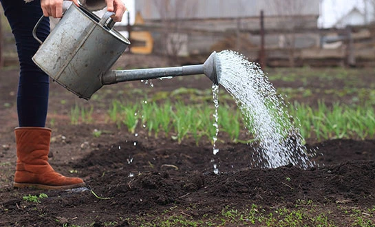 Amino acid water-soluble fertilizers