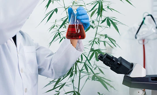 organic plant growth stimulant