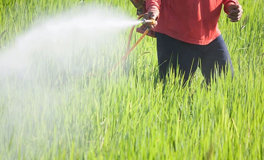 Organic plant growth stimulants Organic plant growth stimulants