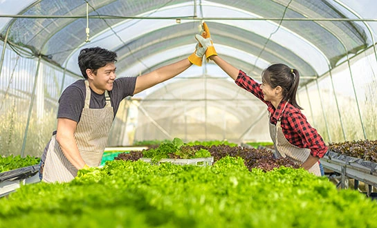 Yeast peptide fertilizer