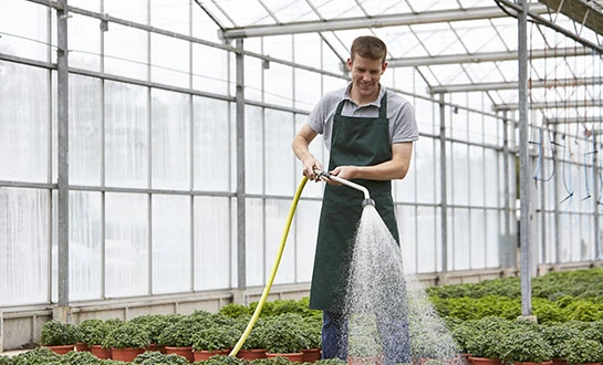 yeast peptide fertilizer