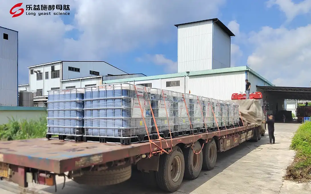 LYS biostimulant-liquid fertilizer
